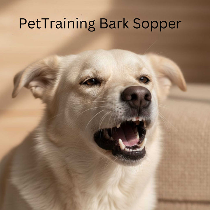 Electric Dog Training Collar