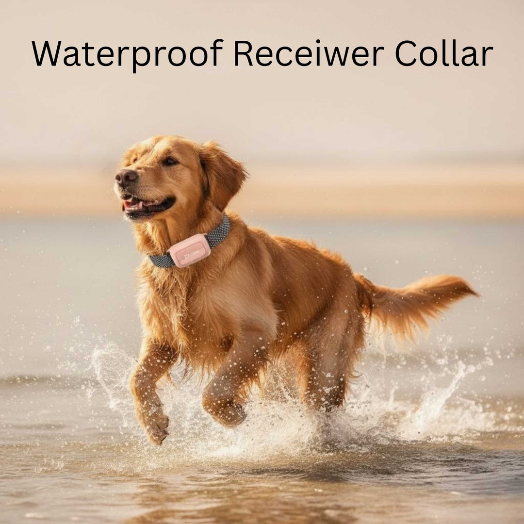 Electric Dog Training Collar