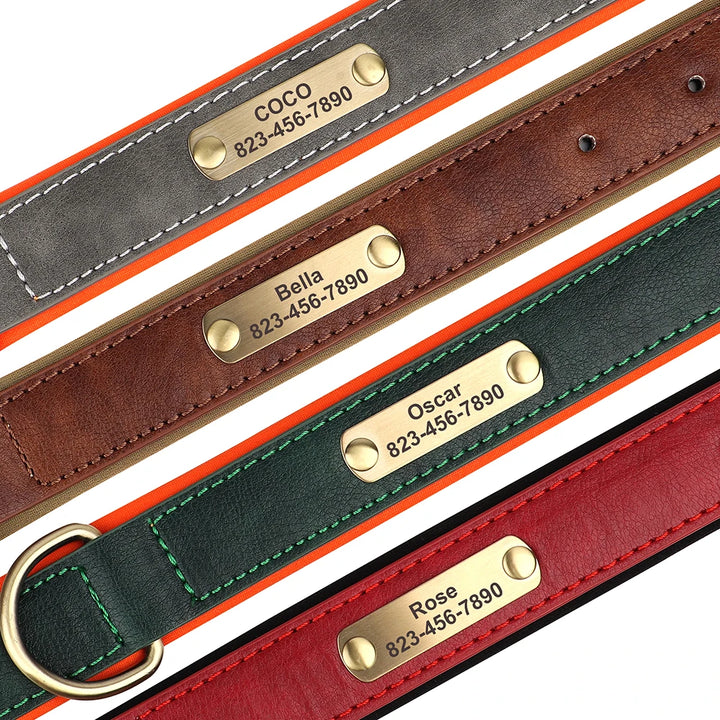 Elegant Personalized Dog Collar