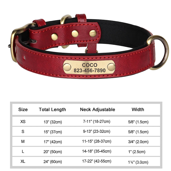 Elegant Personalized Dog Collar