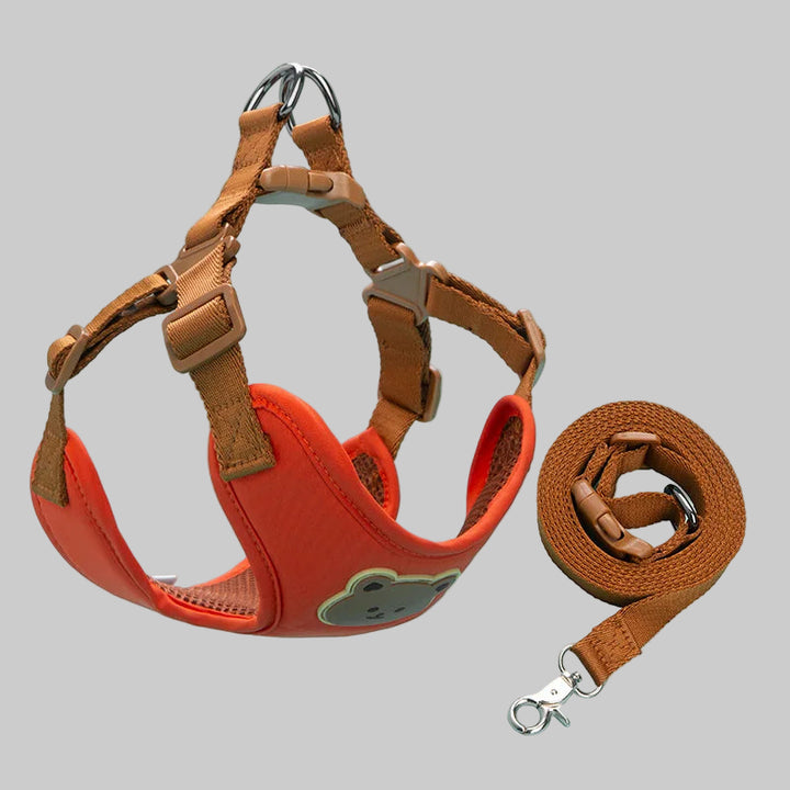 Dog Harness & Leash Set