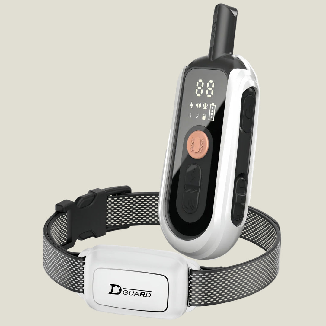 Electric Dog Training Collar