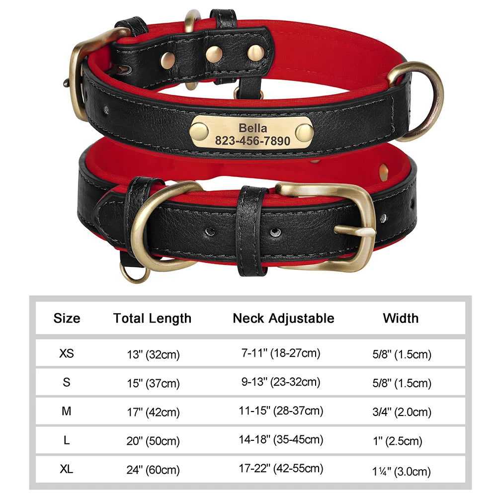 Elegant Personalized Dog Collar