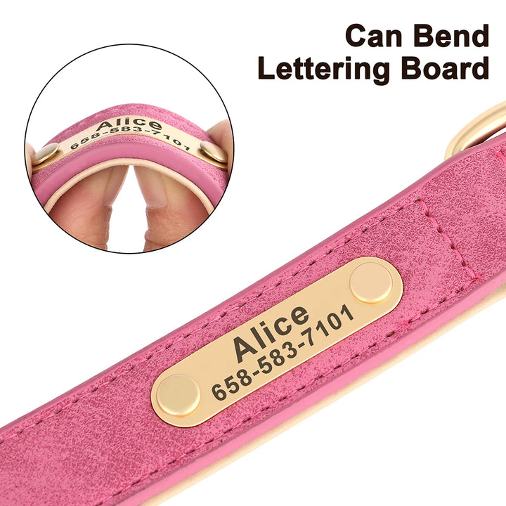 Elegant Personalized Dog Collar