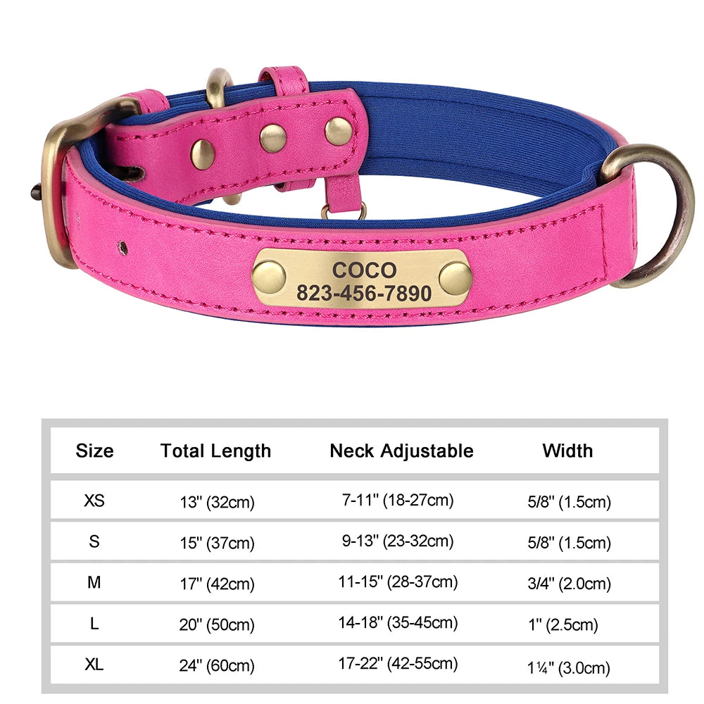 Elegant Personalized Dog Collar
