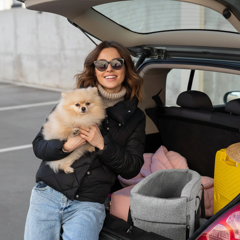 Armrest Dog Car Seat for Center Console