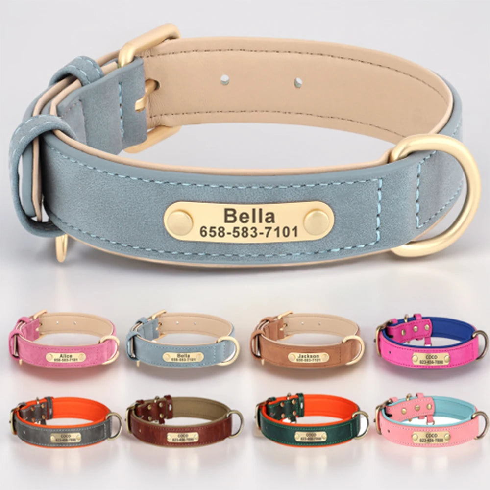 Elegant Personalized Dog Collar