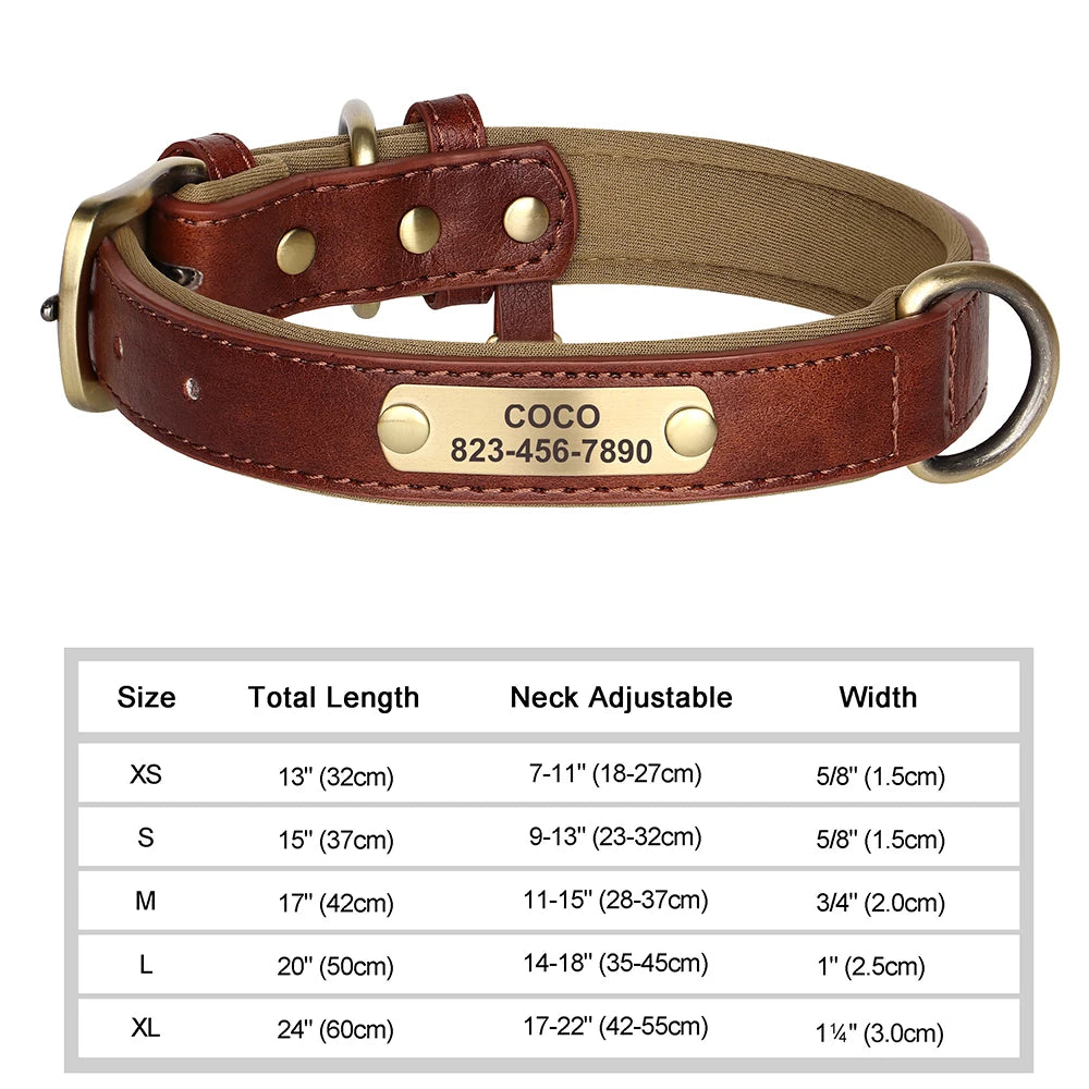 Elegant Personalized Dog Collar