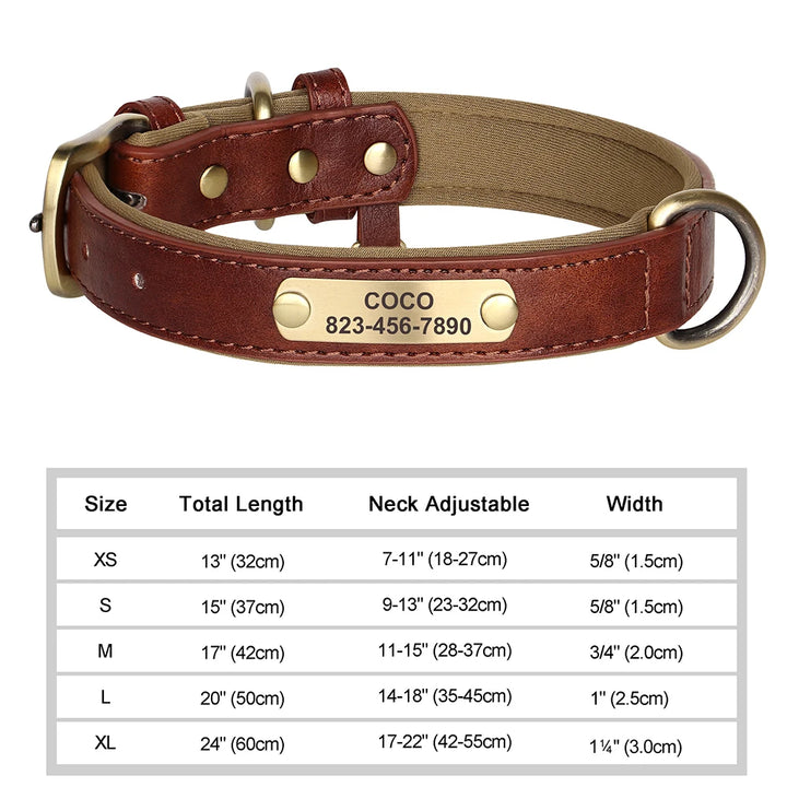 Elegant Personalized Dog Collar