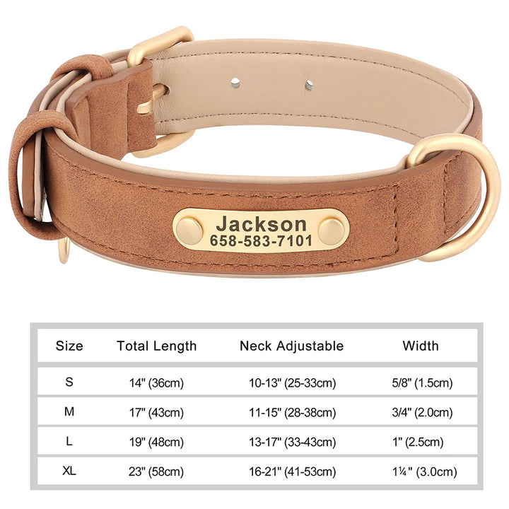 Elegant Personalized Dog Collar