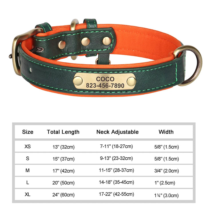 Elegant Personalized Dog Collar