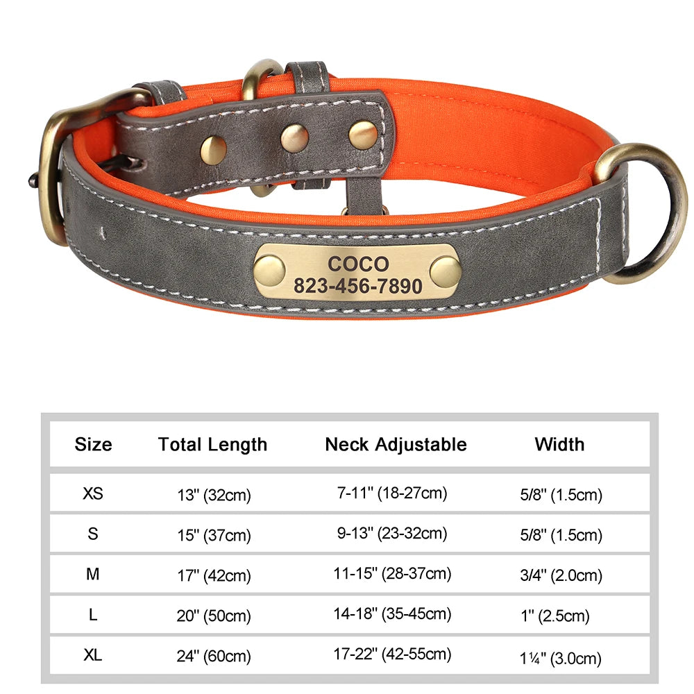 Elegant Personalized Dog Collar