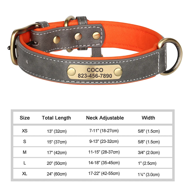 Elegant Personalized Dog Collar