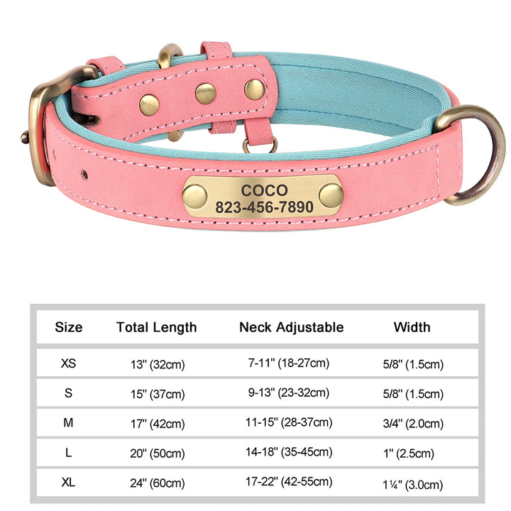 Elegant Personalized Dog Collar