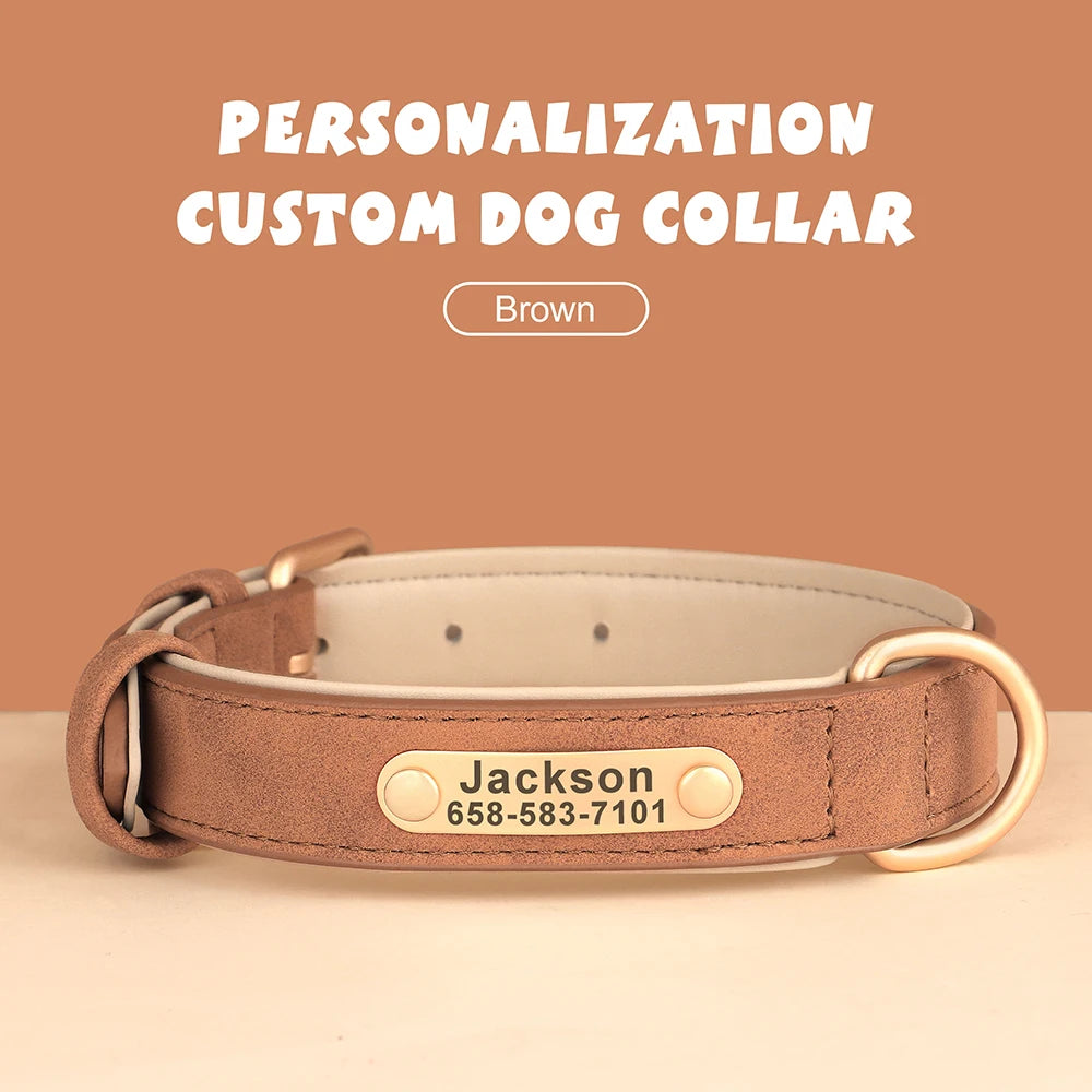 Elegant Personalized Dog Collar