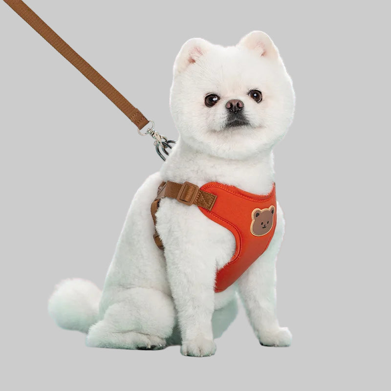 Dog Harness & Leash Set