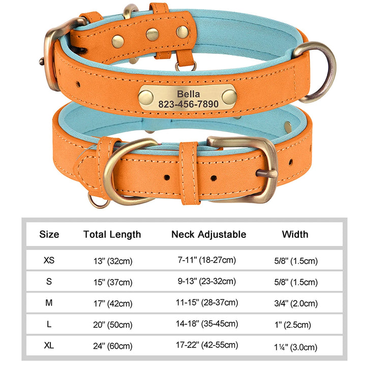 Elegant Personalized Dog Collar
