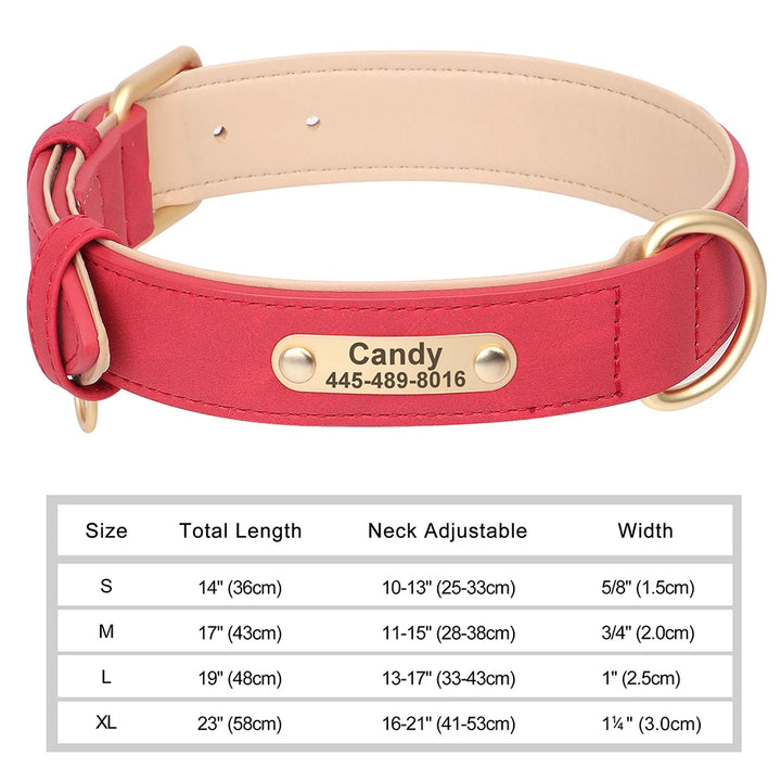 Elegant Personalized Dog Collar