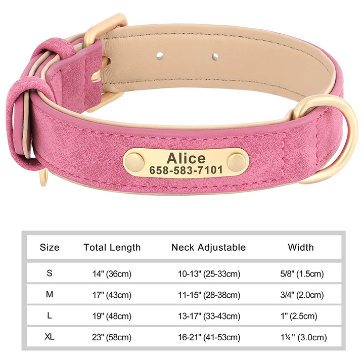 Elegant Personalized Dog Collar