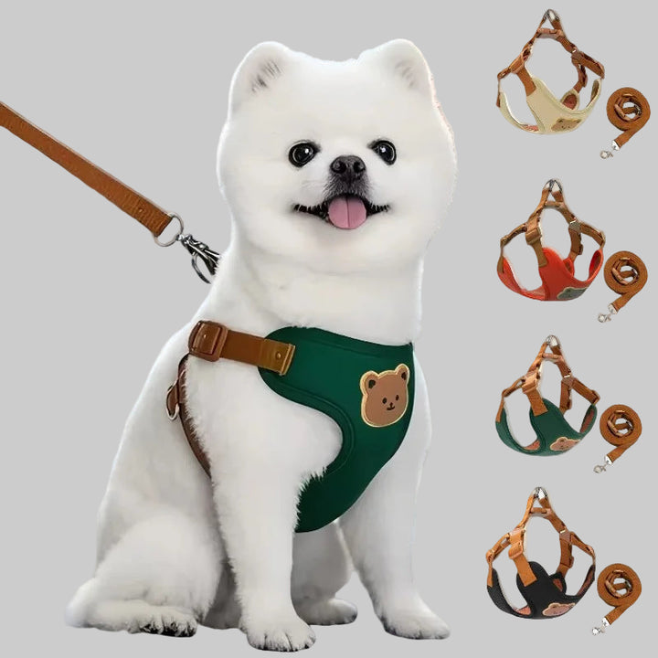 Dog Harness & Leash Set