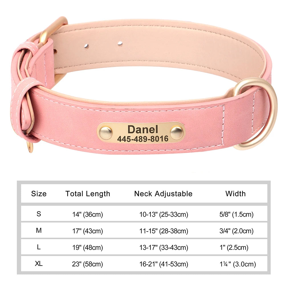 Elegant Personalized Dog Collar