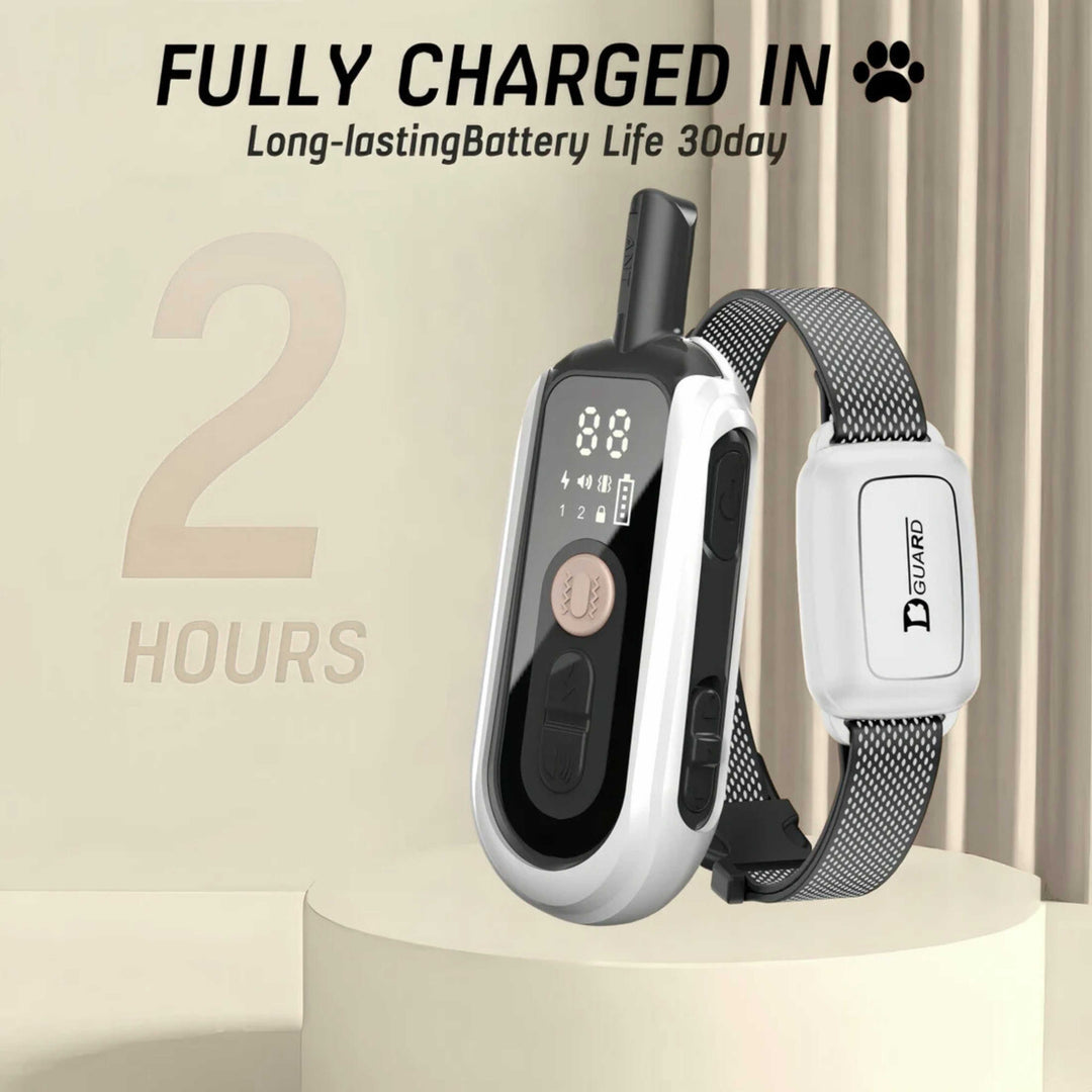 Electric Dog Training Collar