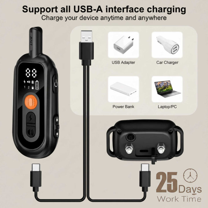 Electric Dog Training Collar