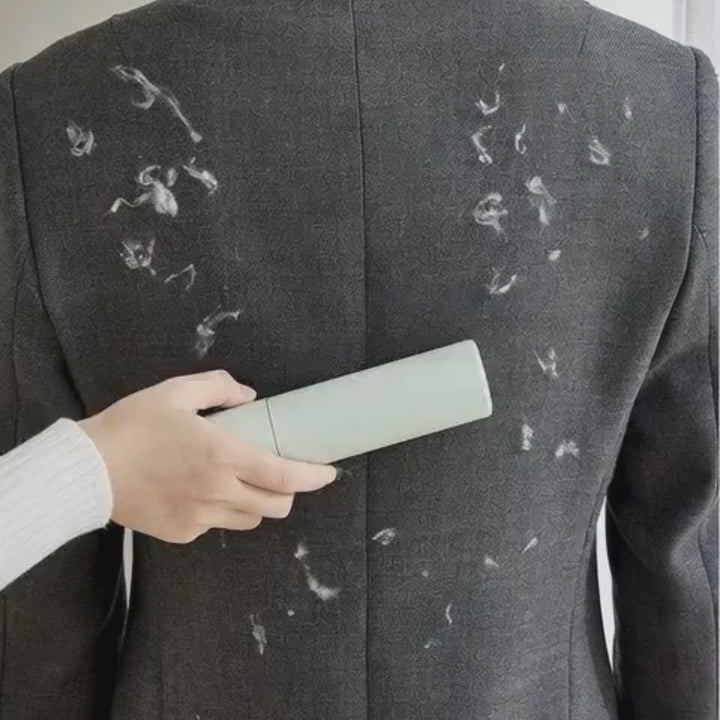 Portable Pet Hair Remover Brush