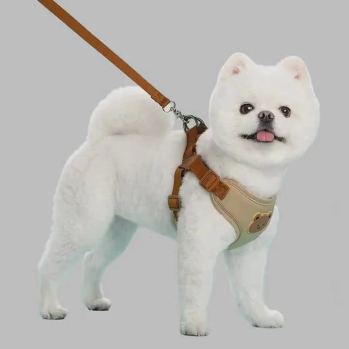Dog Harness & Leash Set